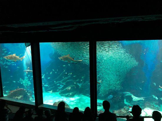 Marine World