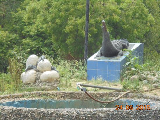 Kukrail Forest Reserve