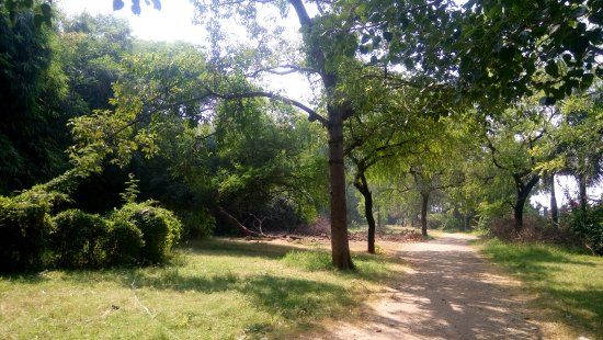 Sarthana National Park