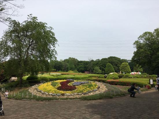 Kawaguchi Green Center