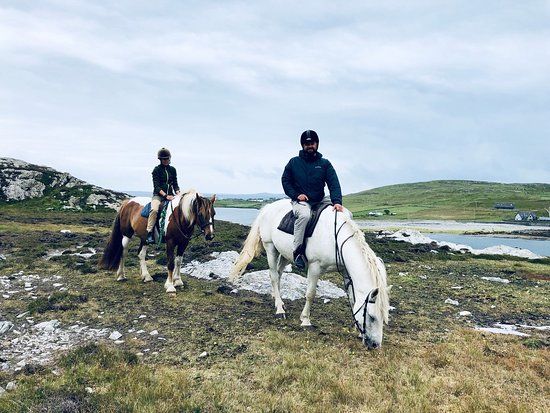 Inishbofin Equestrian Centre