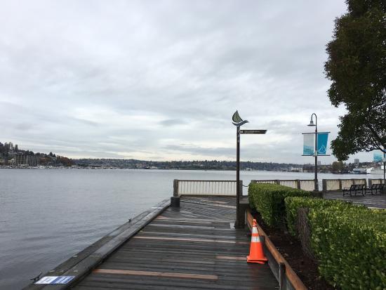 Lake Union Park