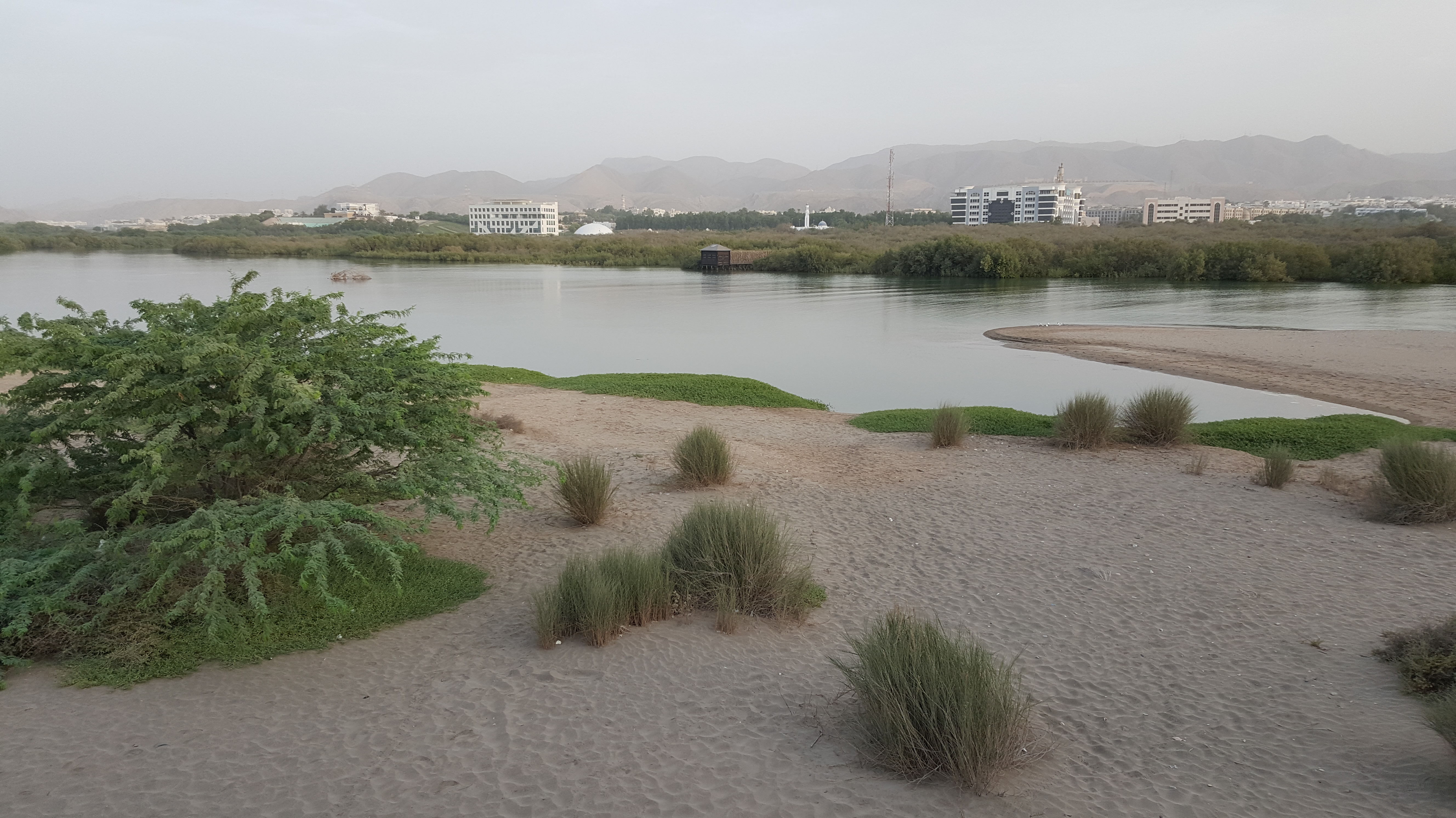 Qurum Nature Reserve