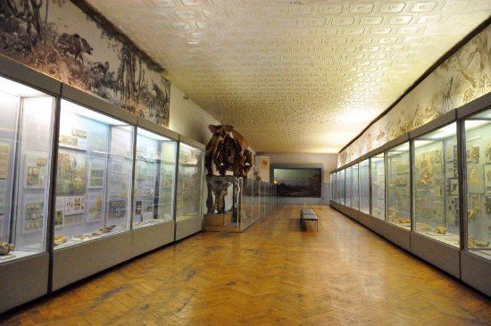 National Museum of Natural Sciences of Ukraine