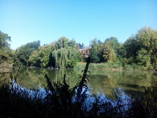 Holy Trinity Monastery Kitaevskaya