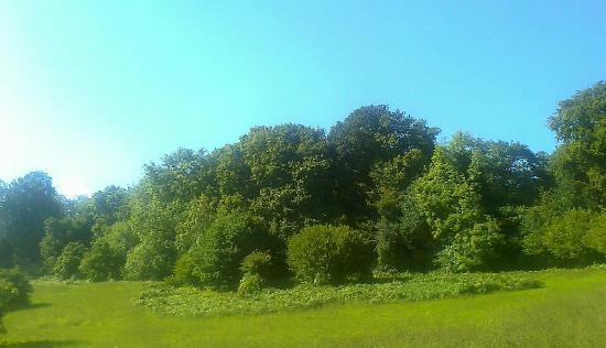 St Helens Park