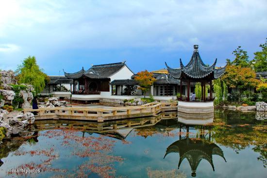 Dunedin Chinese Garden
