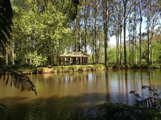 Taitua Arboretum
