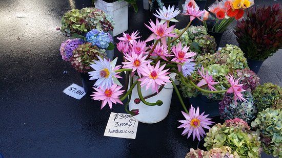 Takapuna Markets