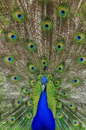 Natureland Wildlife Trust