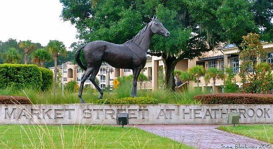 Market Street At Heath Brook