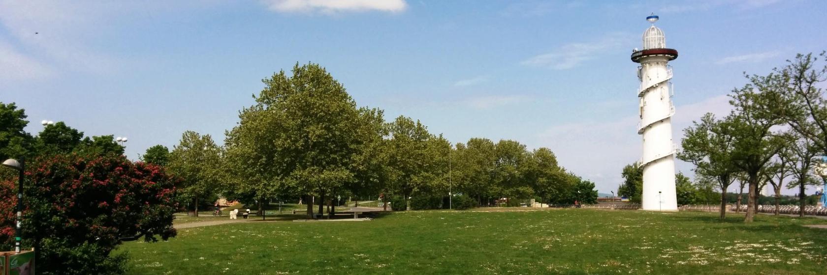 Donau-eiland