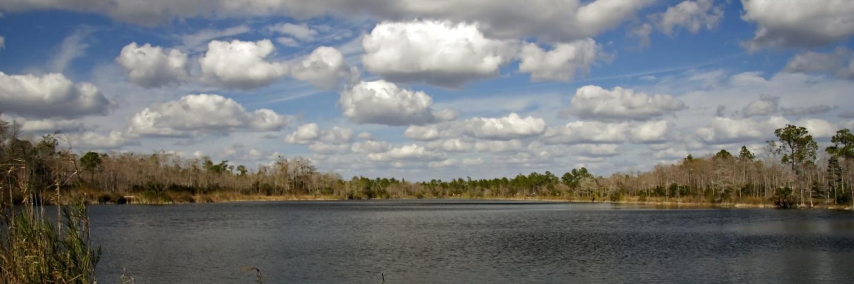 Savannas Preserve State Park