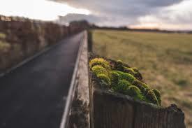 Paisley Moss Nature Reserve
