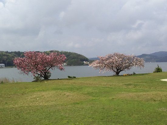 Lake Koyama