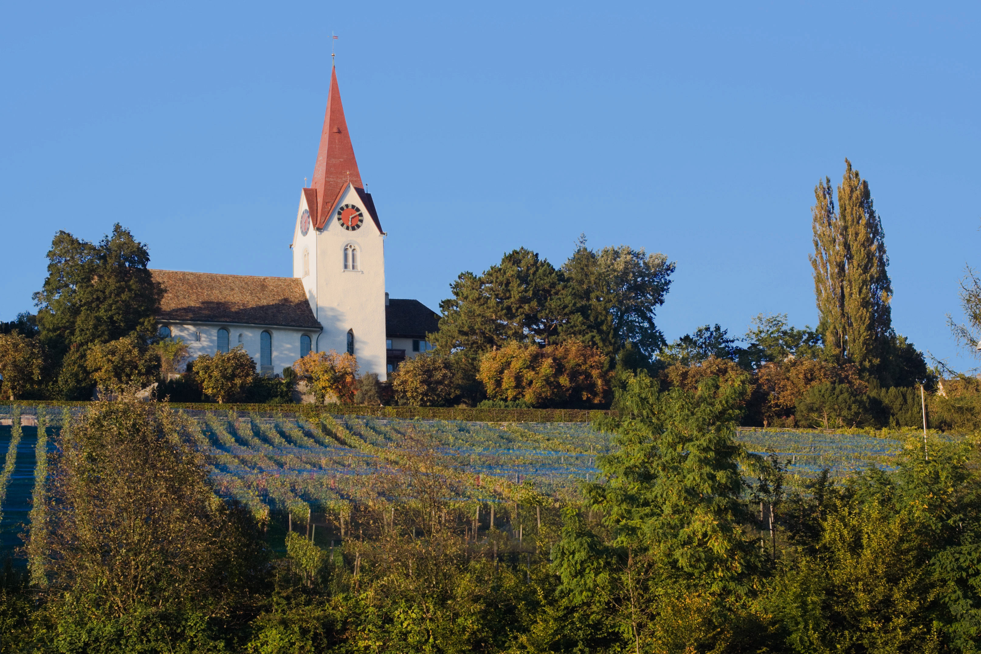 Oude kerk van Höngg