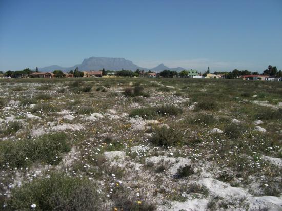 Bothasig Fynbos Nature Reserve