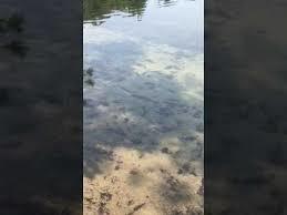 Shupac Lake