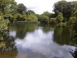 Park Lime Pits Local Nature Reserve