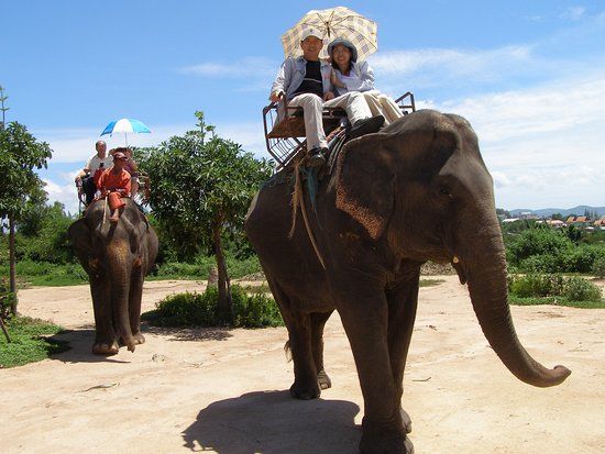 Pattaya Elephant Village
