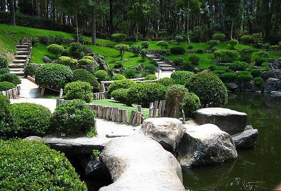 Bosque Colomos