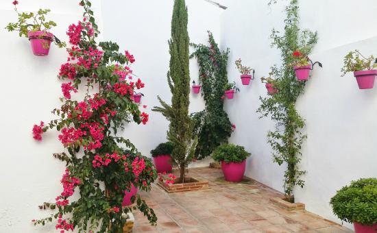 Pasaje Maria Cintrano