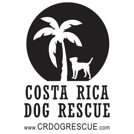 Costa Rica Dog Rescue & Adoption