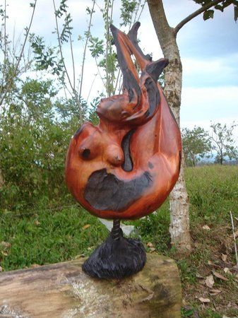 Wood & Art Gallery