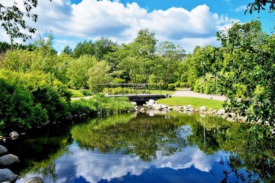 Kumpulan kasvitieteellinen puutarha