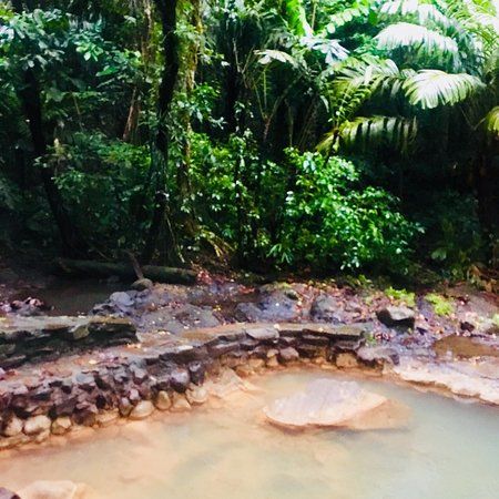 Termales del Bosque Hot Springs
