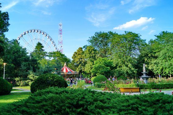 Parcul Tei