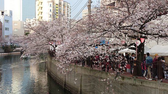 Ooka River Promenade