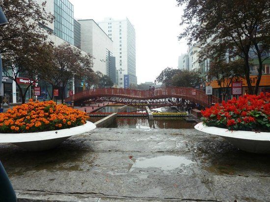 ShiLu BuXingJie