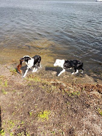Massassauga Point Conservation Area