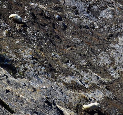 Pinto Creek Canyon Natural Area