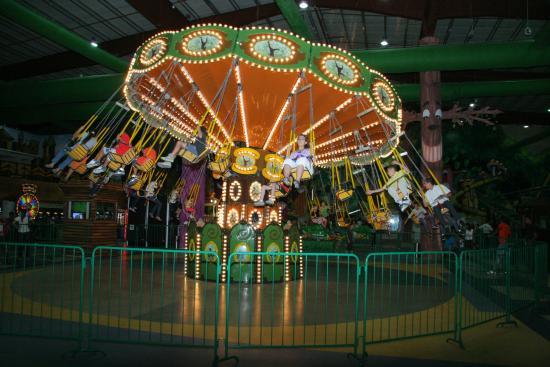 Jingo's Jungle