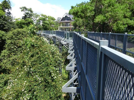 Canopy Walkway