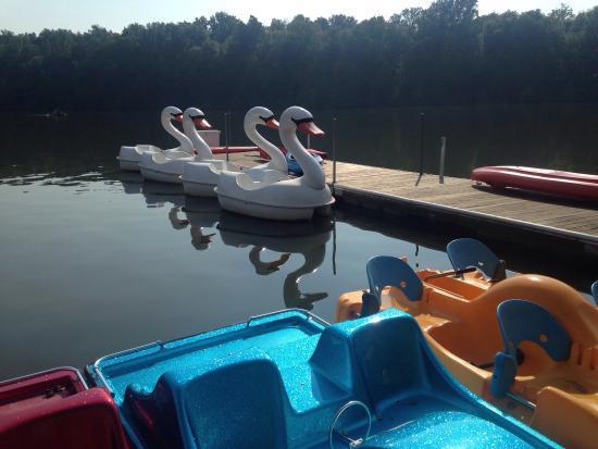 Miami Whitewater Forest