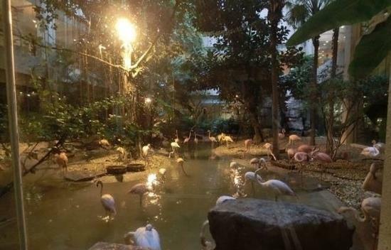 BaiHu Western Restaurant