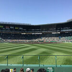 Magpie Ne Street Food