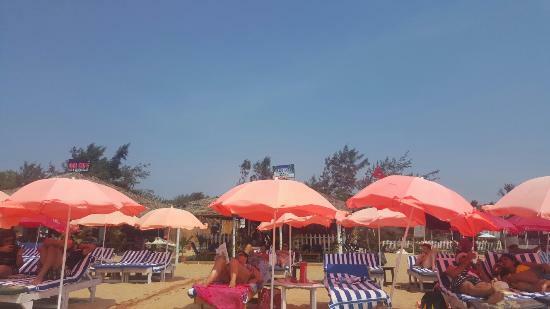 Bubbles beach shack