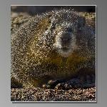 China House Restaurant