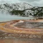 Jin Japanese Restaurant