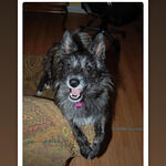 Yum Yum Chinese Restaurant